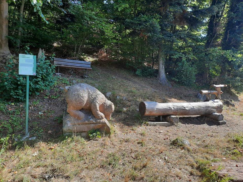 Studio Soleil au Hohwald Eksteriør billede