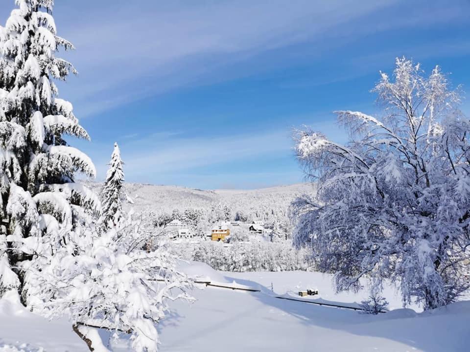 Studio Soleil au Hohwald Eksteriør billede